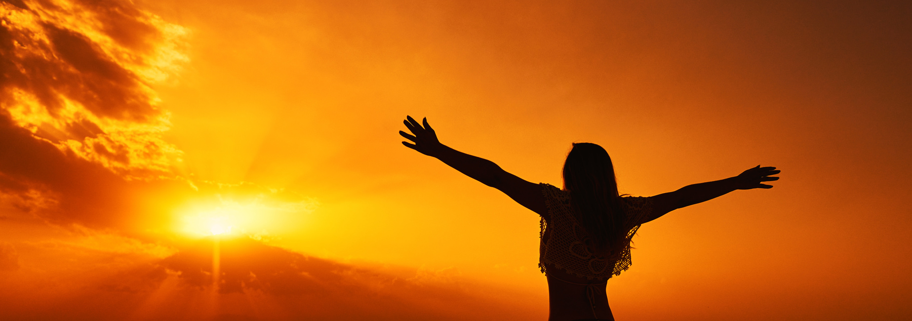 the gratitude and harmony